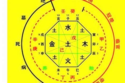 免費算五行喜用神|免費查八字喜用神，免費測喜用神，免費查五行喜用神，喜用神怎。